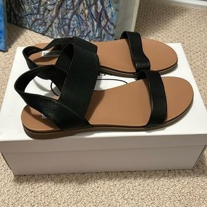 Steve Madden Darnell Sandals